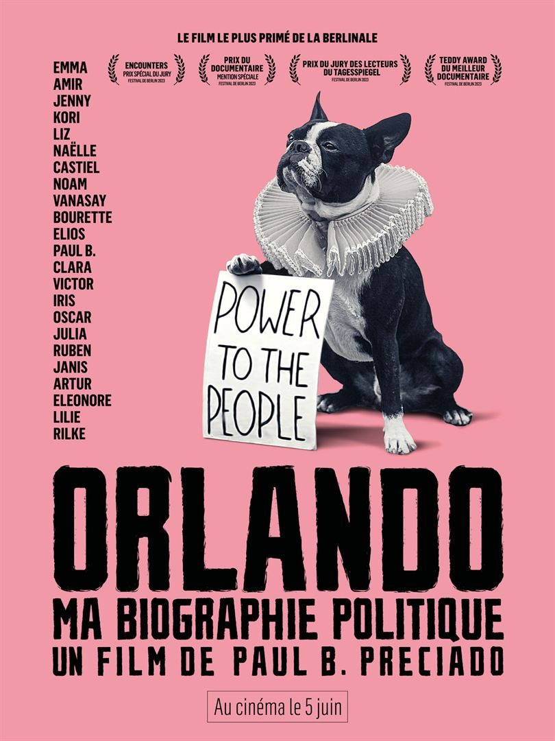 Affiche du film Orlando, ma biographie politique