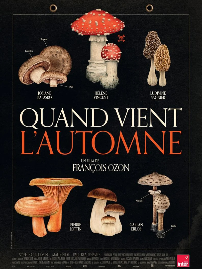 Affiche du film Quand vient l'automne